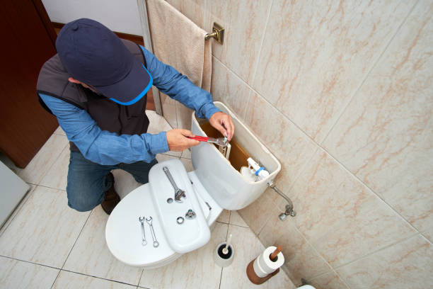 Изображение портфолио