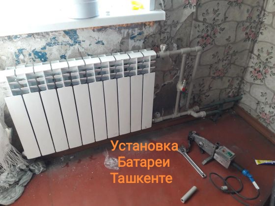Изображение портфолио