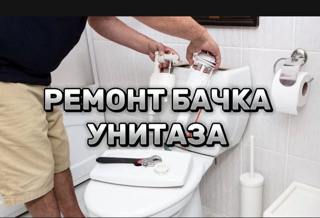 Изображение портфолио
